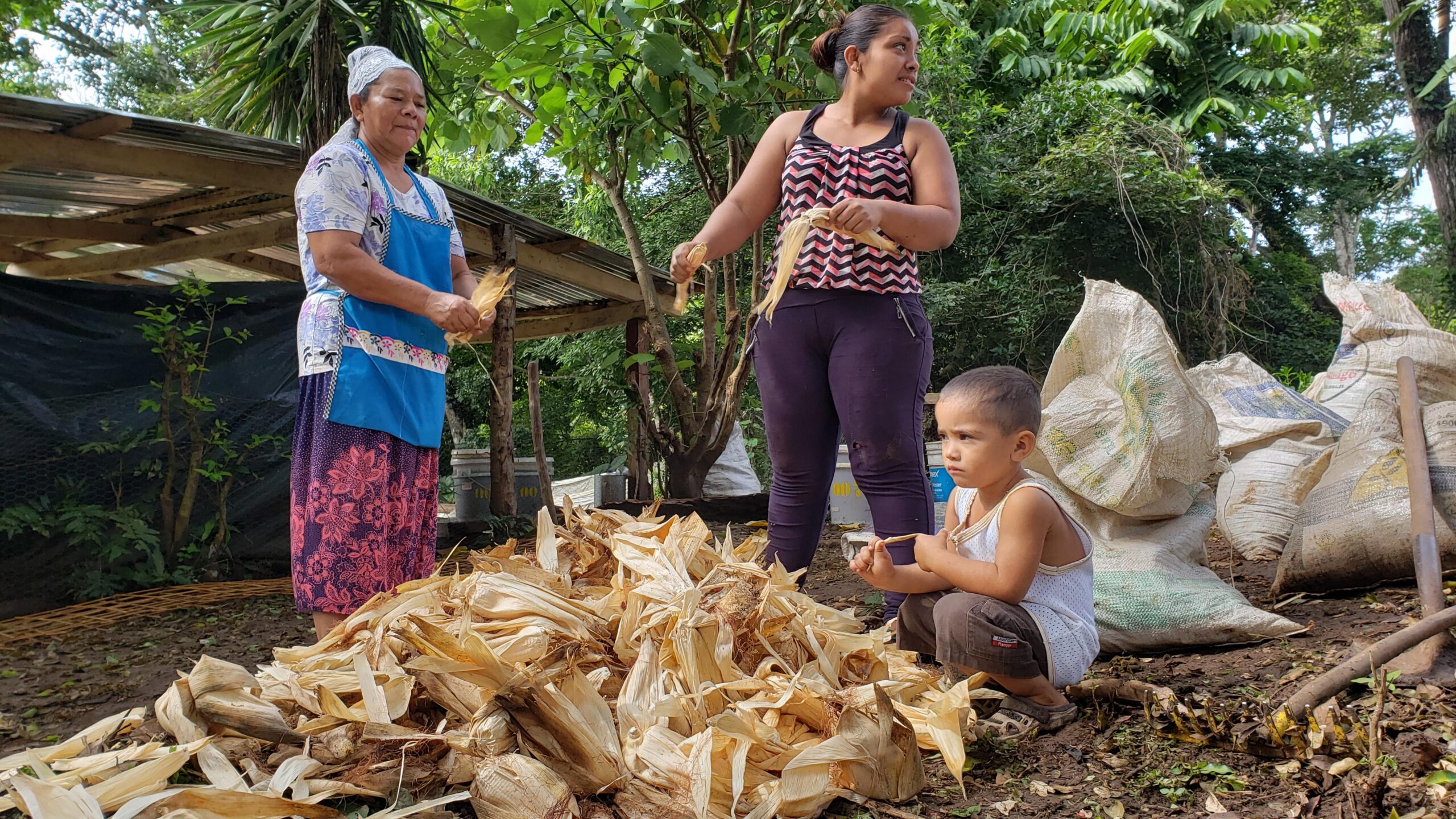 Les paysannes et les paysans participant à la coopérative Canasta Campesina voient leur niveau de vie s'améliorer.