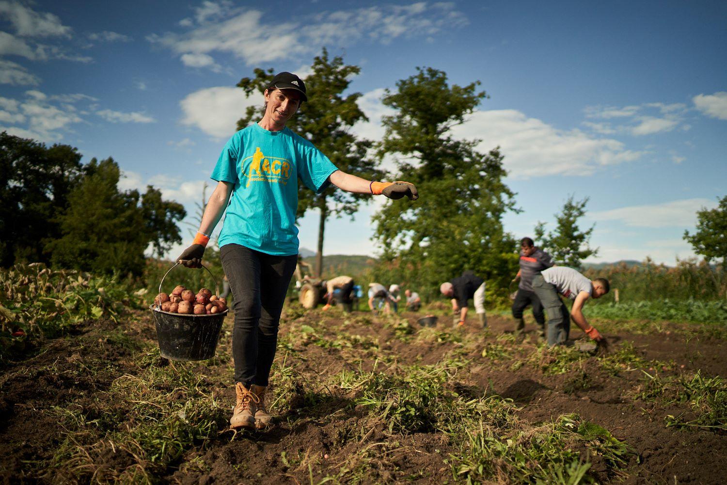 Près de Clermont-Ferrand, bénévoles et personnes aidées ont créé un jardin solidaire et mettent ainsi à profit les ressources naturelle pour améliorer leurs conditions de vie. Une partie des fruits et légumes est reversée au libre-service alimentaire.