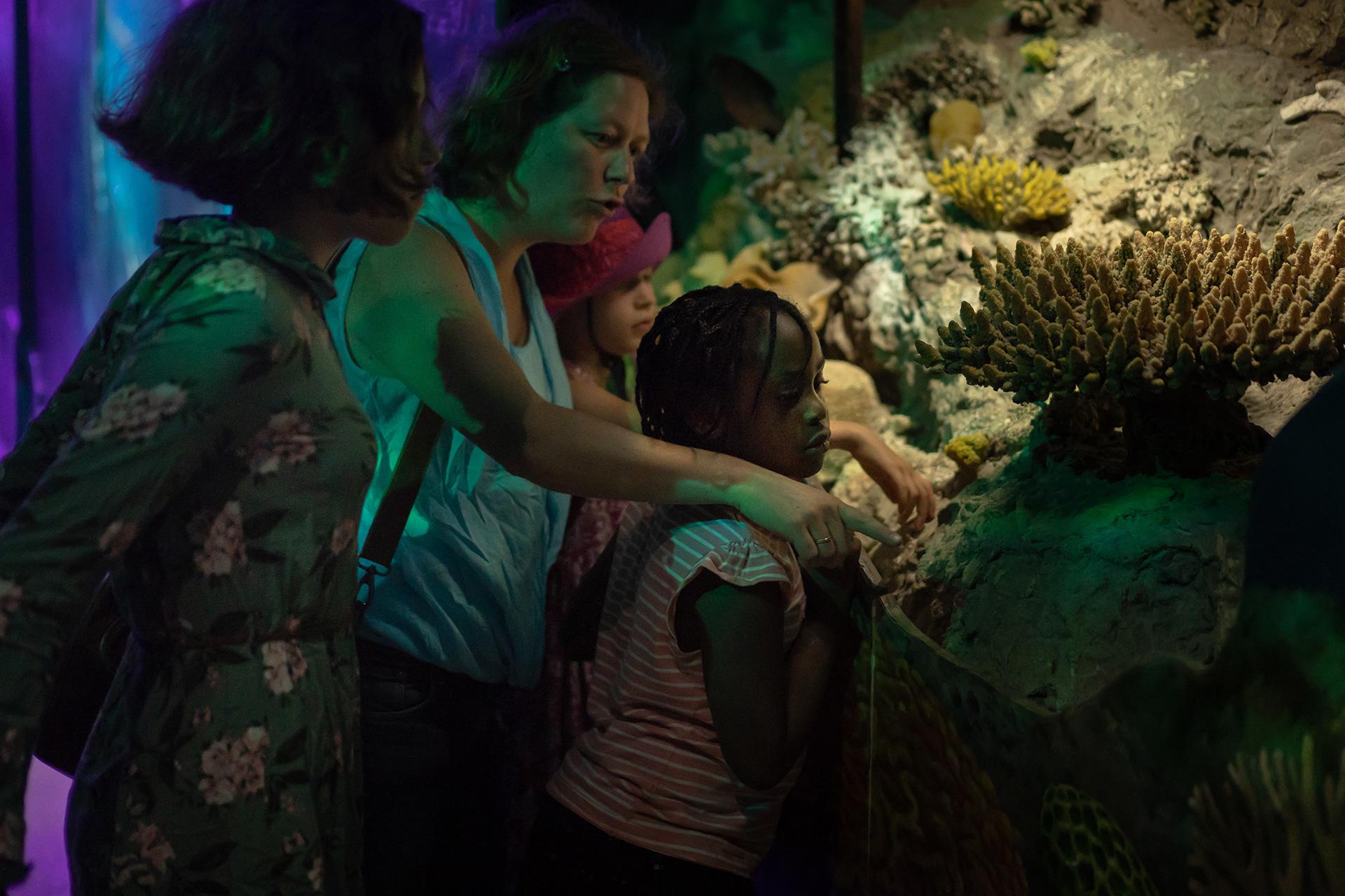 Ghift pourra raconter à sa mère et à ses frères et sœurs qu'elle a vu de beaux poissons au zoo de Rotterdam.