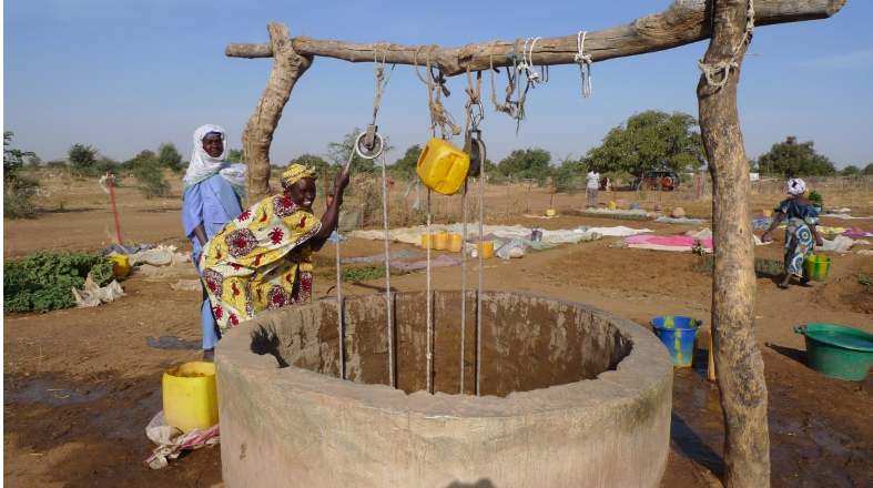 Les femmes du groupement Djaliba cultivent leur jardin à Krémis.