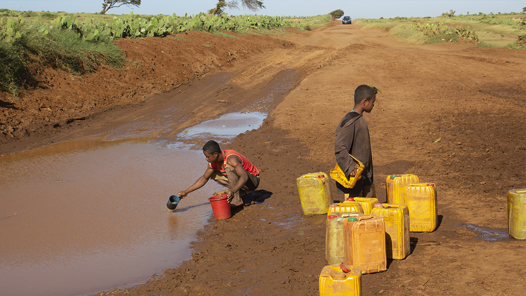 Le sud de Madagascar souffre tellement de la sécheresse que des villageois sur la route d'Amboasary recueillent l'eau boueuse qui stagne sur la piste, entre le passage de deux taxi-brousse.