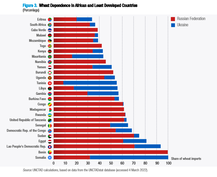 La dépendance des pays africains et des moins développés aux importations de blé en provenance d'Ukraine et de Russie est très forte. Elle n'est jamais inférieure à 30 % (Érythrée) et peut-être totale, comme dans le cas de la Somalie.