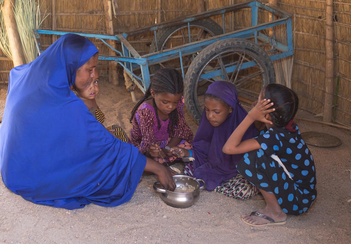 Niger : HED-Tamat, un arbre dans le désert