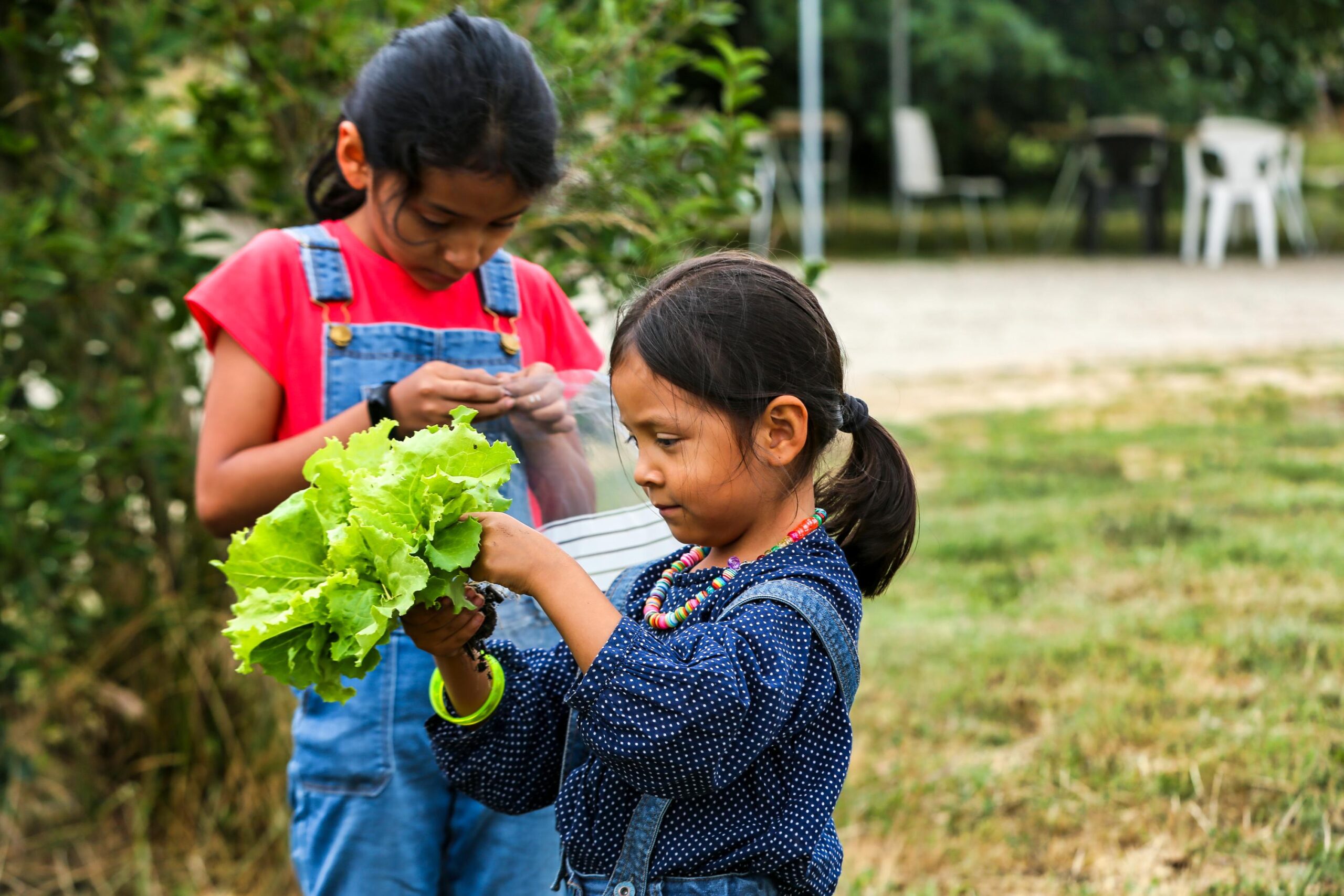 A Saverdun, les petits jardiniers du monde cultivent la Terre