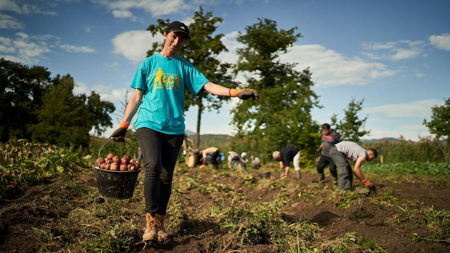 Près de Clermont-Ferrand, bénévoles et personnes aidées ont créé un jardin solidaire et mettent ainsi à profit les ressources naturelle pour améliorer leurs conditions de vie. Une partie des fruits et légumes est reversée au libre-service alimentaire. Près de Clermont-Ferrand, bénévoles et personnes aidées ont créé un jardin solidaire et mettent ainsi à profit les ressources naturelle pour améliorer leurs conditions de vie. Une partie des fruits et légumes est reversée au libre-service alimentaire.