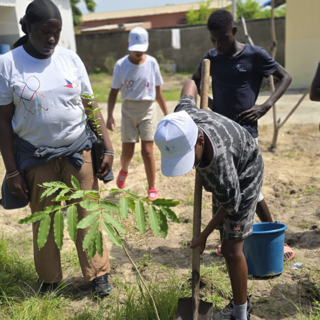 Plantation d'arbres avec les Copain du Monde au Sénégal