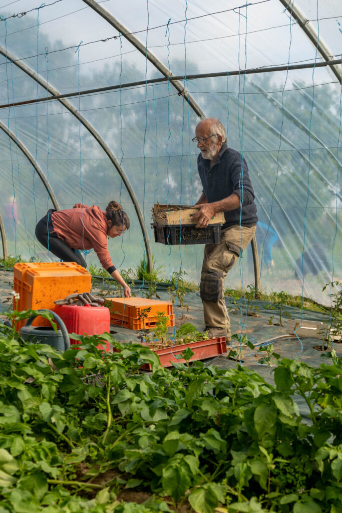 Au jardin solidaire, bénévoles du comité et personnes accueillies jardinent ensemble.