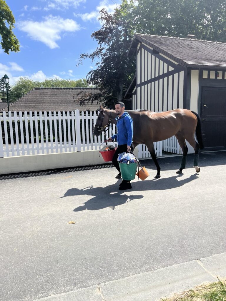 cheval avec un jockey