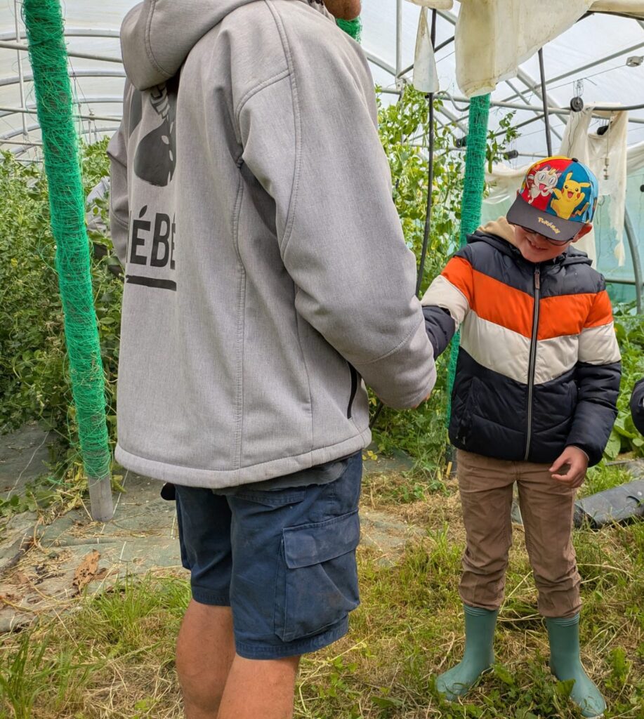 Un enfant dans les serres avec le producteur